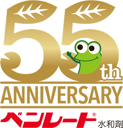 55周年