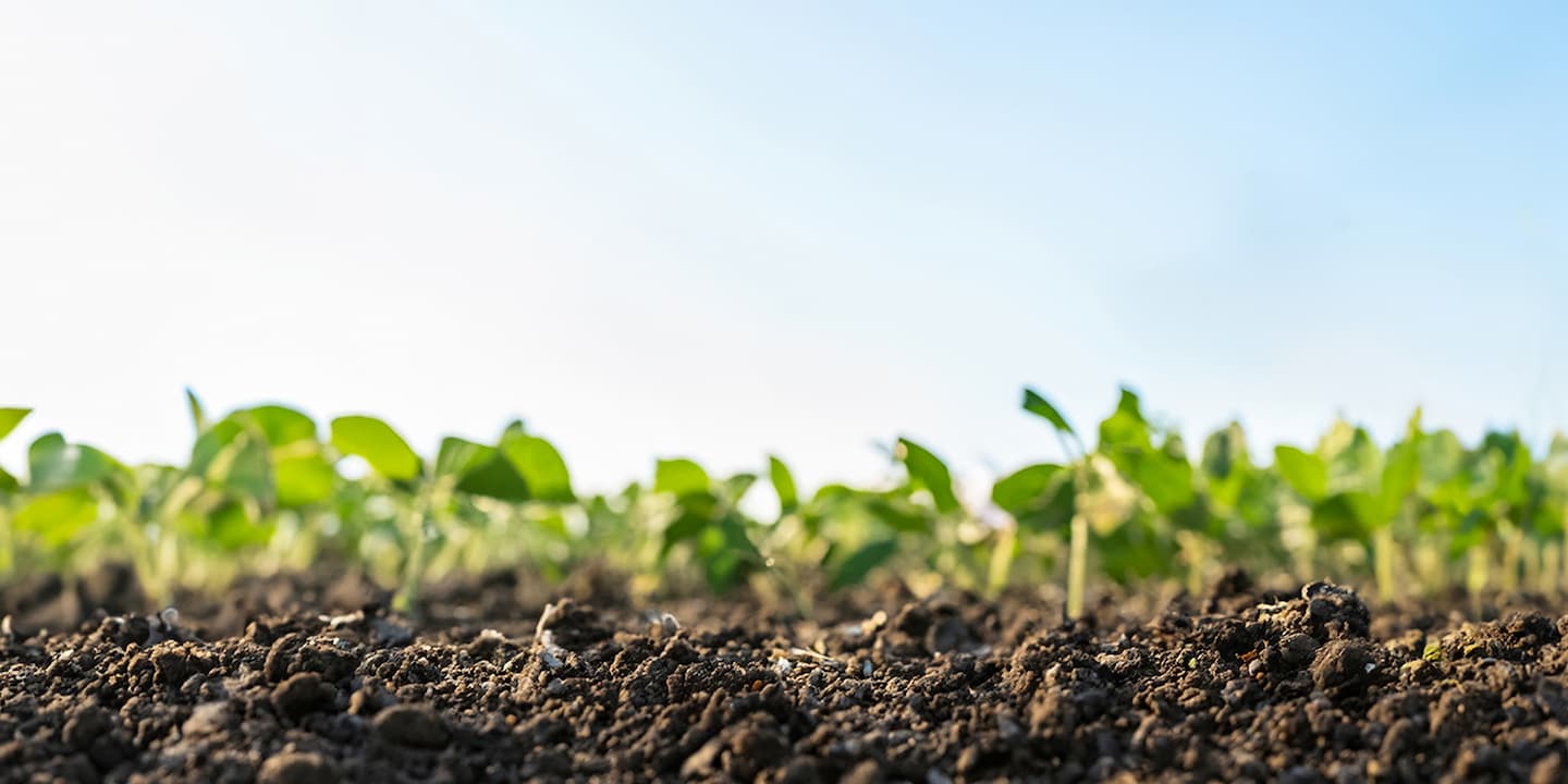 ベンレートキャンペーン